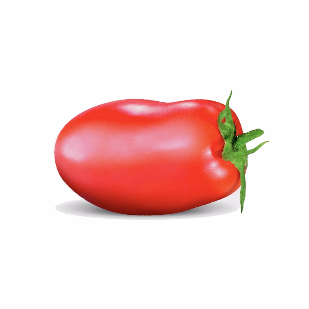 Tomates pelées entières